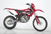 2007 Beta RR 250M photo